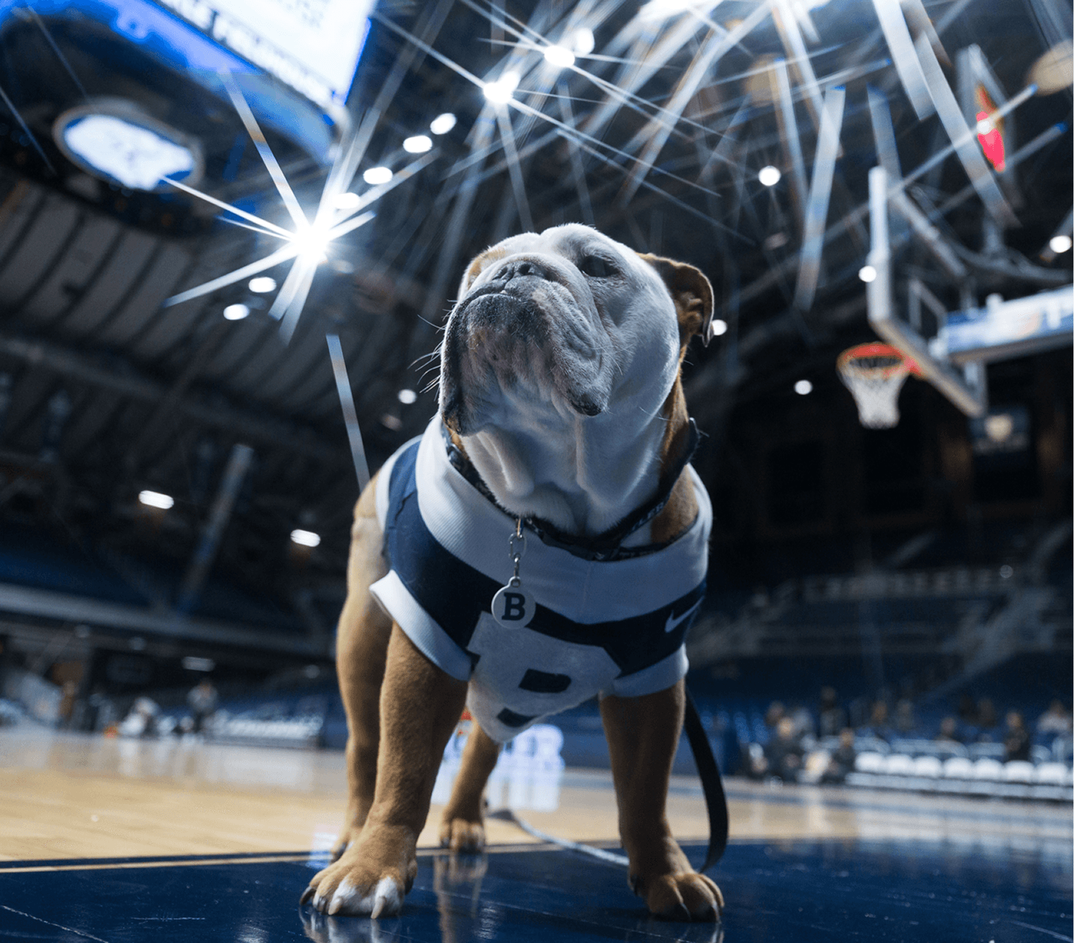 Want to experience game day like never before?