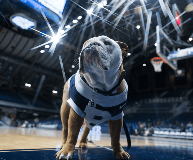 Why Choose Butler Mobile?