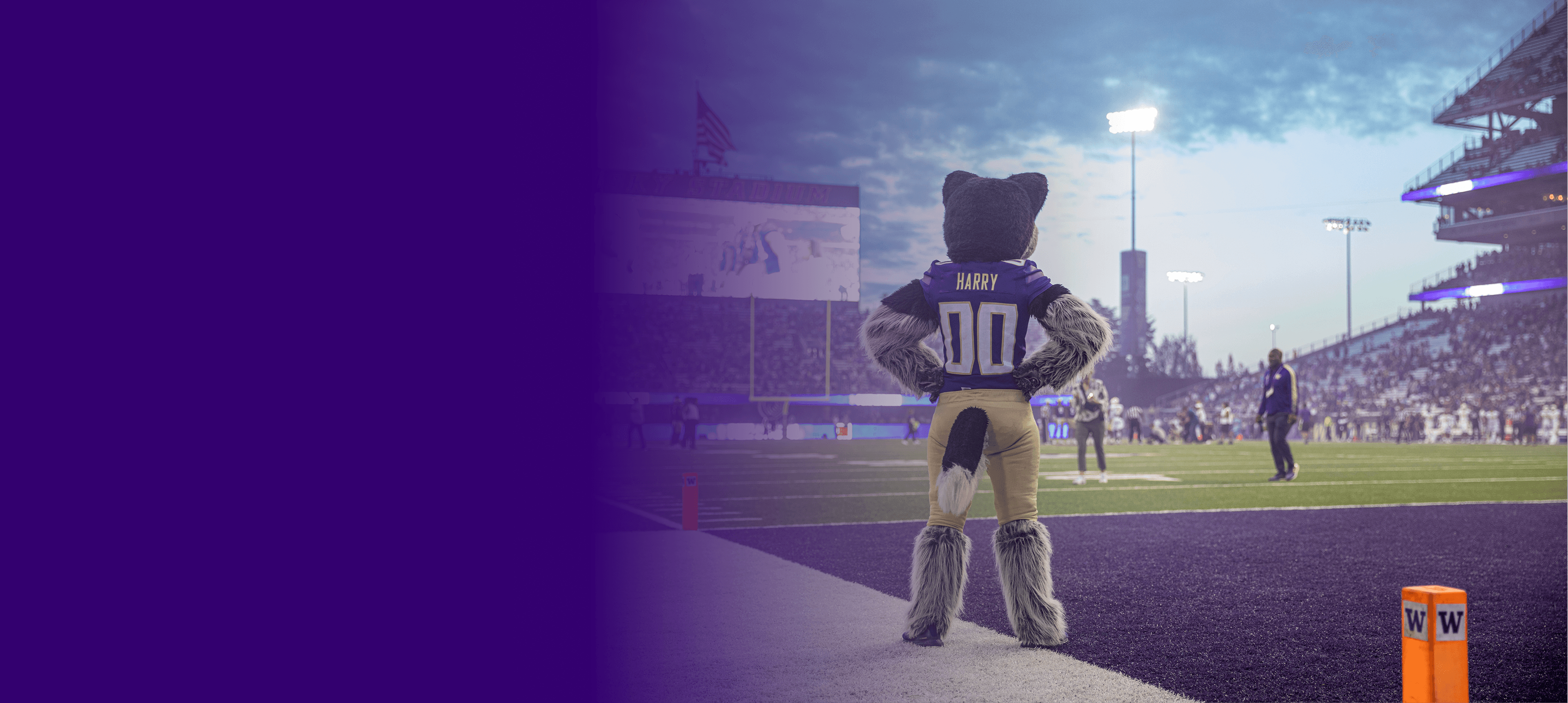 UW Huskies mascot at Husky Stadium