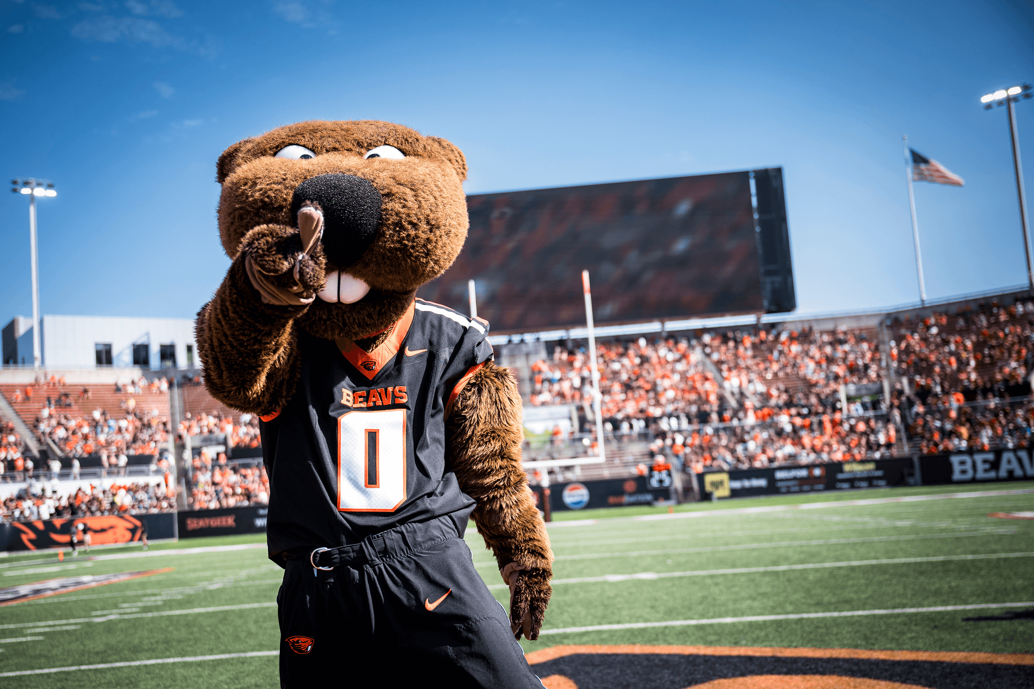Want to experience game day like never before?